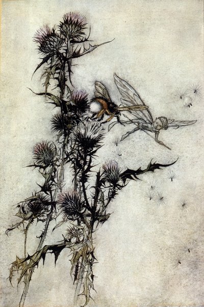 アーサー・ラッカム（1867-1939）によるウィリアム・シェイクスピア作『夏の夜の夢』の挿絵。 作： Arthur Rackham