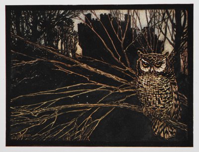 ヨリンダとヨリンゲルのシロフクロウのイラスト。 作： Arthur Rackham