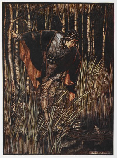Ilustração de um jovem em um lago de The White Snake. 作： Arthur Rackham