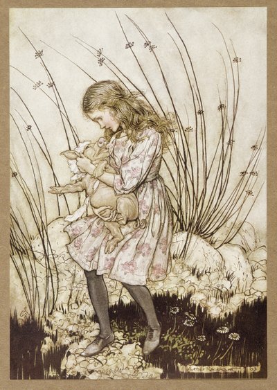 "It grunted again so violently, she looked down into its face in some alarm", from Alice