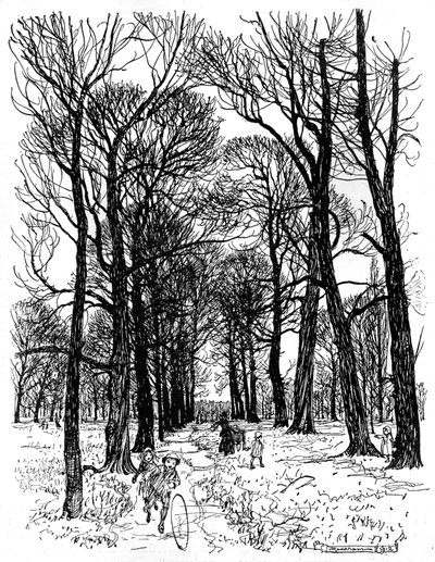 ピーターパン・イン・ケンジントン・ガーデンズ 作： Arthur Rackham