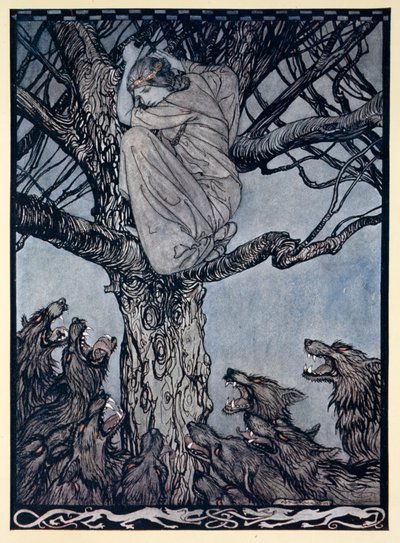 彼女は怒りに満ちた眼差しで、緊張して唸る大群を見ていた（James Stephens著「Irish Fairy Tales」より）。 作： Arthur Rackham