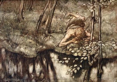 「ジークフリートは小川の中にいる自分を見る」、1924 年。 作： Arthur Rackham