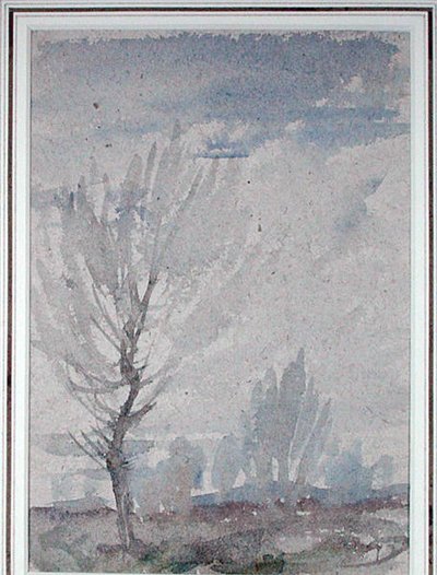 樹木の習作（水彩・紙） 作： Arthur Rackham