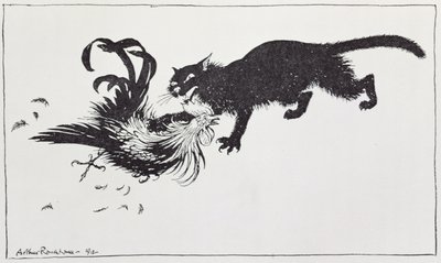 猫と雄鶏、「イソップ寓話」のイラスト、ハイネマン発行、1912 作： Arthur Rackham