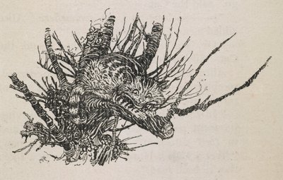 木の上のチェシャ猫 作： Arthur Rackham