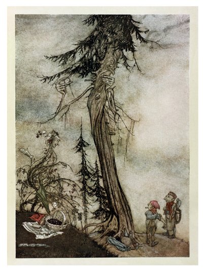 モミの木とブランブル、「イソップ寓話」のイラスト、ハイネマン発行、1912 作： Arthur Rackham