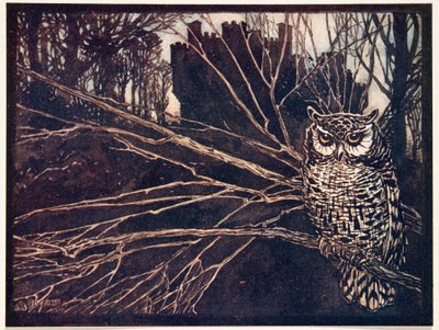 ？または、アメリカオオコノハズキ..、グリム兄弟の童話、パブから。 1909 作： Arthur Rackham