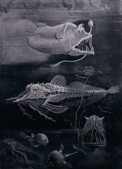 深海魚 作： Arthur Twidle