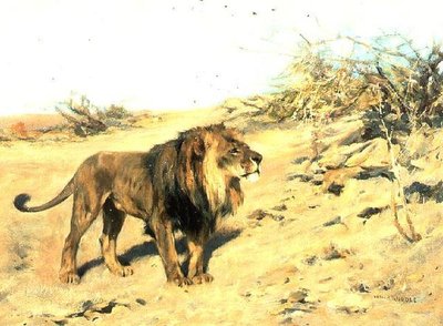 スクラブ中のライオン 作： Arthur Wardle