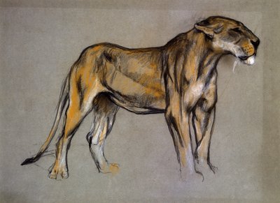 雌ライオン、1900年頃（灰色の紙にパステル） 作： Arthur Wardle