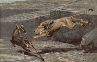 夜の攻撃（クロモリ） 作： Arthur Wardle