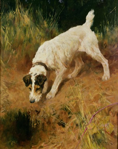 フォックステリア 作： Arthur Wardle