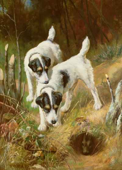 テリアのうさぎ 作： Arthur Wardle