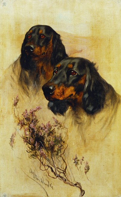 2 つのゴードン セッター (キャンバスに油彩) 作： Arthur Wardle