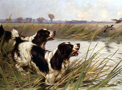 マガモを追いかける 2 つのスプリンガー 作： Arthur Wardle