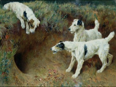 アナグマ セットによるワイアーヘアード フォックス テリア 作： Arthur Wardle