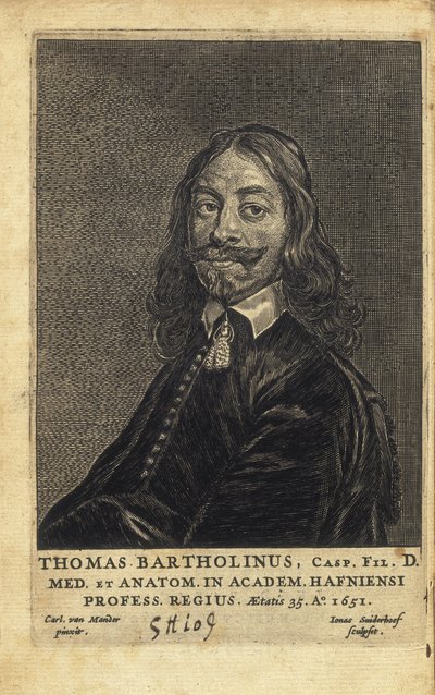 BARTHOLIN, Thomas (1616-1680)。デンマークの医師、数学者、神学者。ヒトのリンパ系の発見と、冷凍麻酔の理論を発展させたことで知られる。 作： Artist Unknown