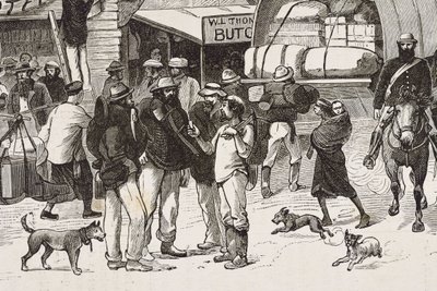 イングランド（19世紀）。植民地化（1880年）。オーストラリアでの金鉱発掘者たちの生活。英国の植民地ボタニー・ベイ（1788年設立）。当初は犯罪者から探鉱者や貿易商に転身した人々が主に住んでいた。エングレーヴィング。個人蔵 作： Artist Unknown