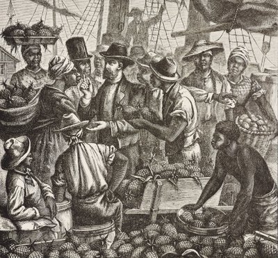 イングランドの歴史（19世紀）。植民地化（1880年）。パイナップルを売るバハマニュープロビデンス島のイギリス植民地。パイナップルはナッソー港からの輸出品のひとつで、最も重要なものだった。エングレーヴィング。個人蔵 作： Artist Unknown