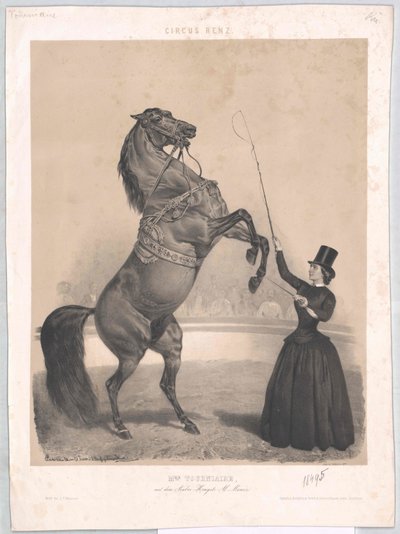 1860年頃トゥルネール在住 作： Artist Unknown