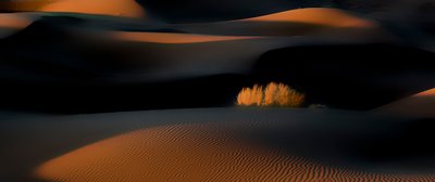  作： Asef Azimaie