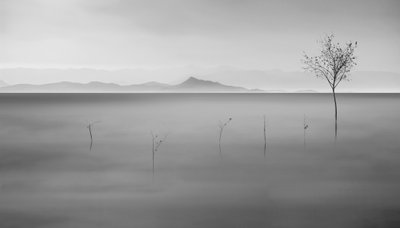  作： Asef Azimaie