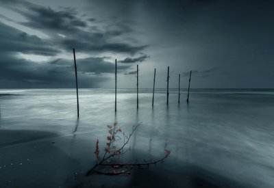  作： Asef Azimaie