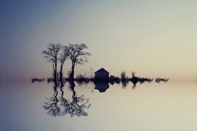 穏やかな水面の映り込み 作： Asef Azimaie