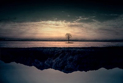  作： Asef Azimaie