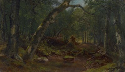  作： Asher Brown Durand