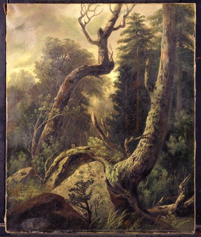 森の風景 作： Asher Brown Durand