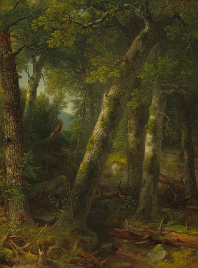 朝の光の森、c。 1855年。 作： Asher Brown Durand