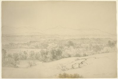 風景、ニューヨーク州バリータウン、1865年（茶色の紙に切り株が入ったグラファイト） 作： Asher Brown Durand