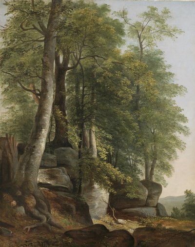 岩と木のある風景、c.1845 作： Asher Brown Durand