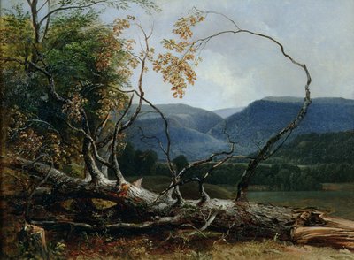ストラットン・ノッチ（バーモント州 作： Asher Brown Durand
