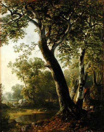 ニューヨーク州アルスター郡マーブルタウンでの習作、1845年頃（油彩・キャンバス 作： Asher Brown Durand