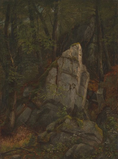 ピアソン渓谷の岩石の研究 作： Asher Brown Durand