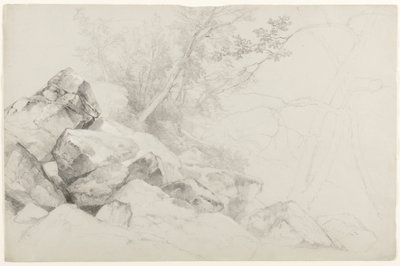 木と岩の研究、ハーグ、レイクジョージ、ニューヨーク、1862年（灰色の紙に黒鉛） 作： Asher Brown Durand