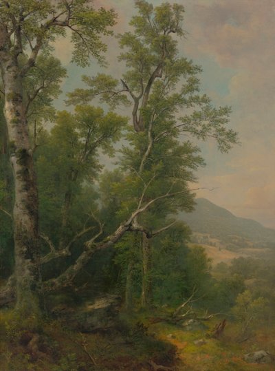 木の研究 作： Asher Brown Durand