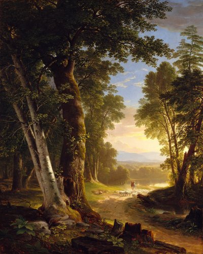 ブナ、1845年。 作： Asher Brown Durand
