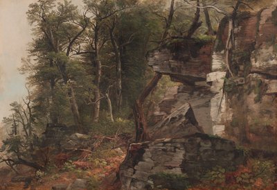 岩だらけの丘の中腹にある木々 作： Asher Brown Durand