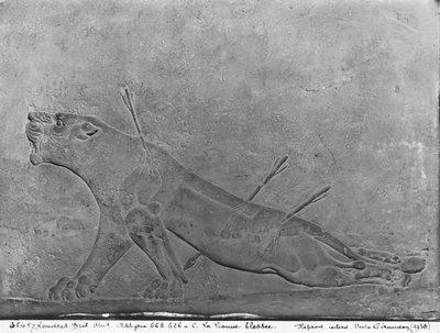 負傷した雌ライオン、アシュルバニパルII殺害ライオンを描いた救済パネルの詳細、アシュルバニパルII宮殿、ニムルド、イラク、ネオアッシリア、紀元前668-627年（石灰岩） 作： Assyrian