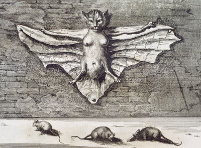 飛ぶ猫、1667 作： Athanasius Kircher