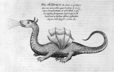 ドラゴン、1678 作： Athanasius Kircher