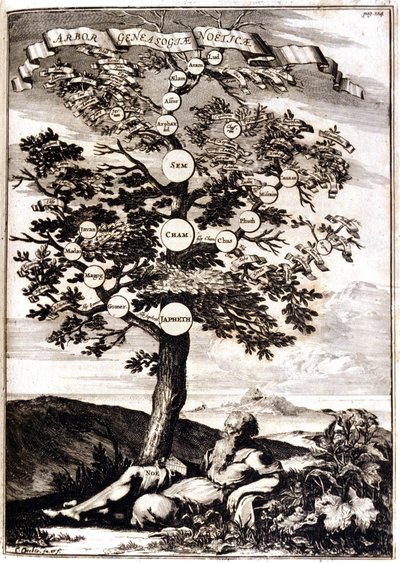 ノエ・ダプレの系譜。アタナシウス・キルヒャー、トゥリス・バベル、ローマ1675年 ミラノ 作： Athanasius Kircher