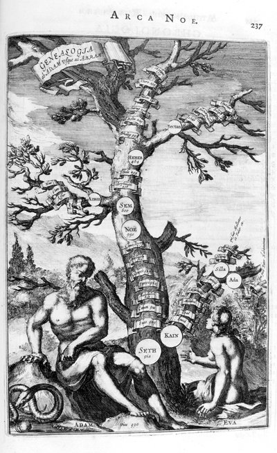 アダムの家系図、1675年。 作： Athanasius Kircher