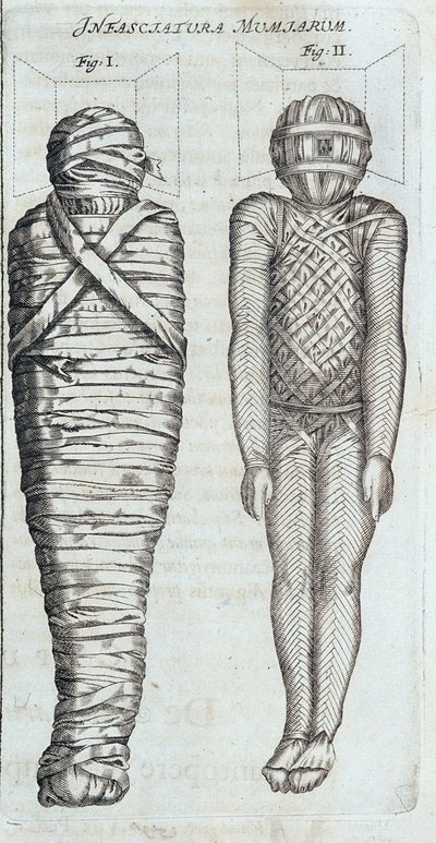 ミイラ - アタナセ・キルヒャーの「Sphynx mystagoga」にて 作： Athanasius Kircher