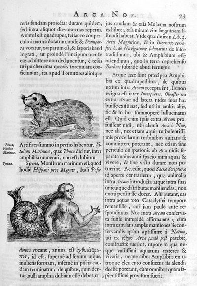 神話上の生き物、1675年。 作： Athanasius Kircher
