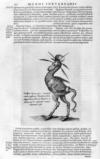 神話上の生き物、1678年。 作： Athanasius Kircher